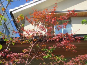 季節感を楽しめる住まい！