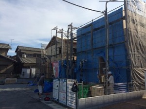 IMG_5987