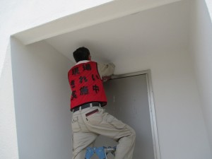 IMG_8840