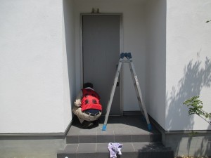 IMG_8841
