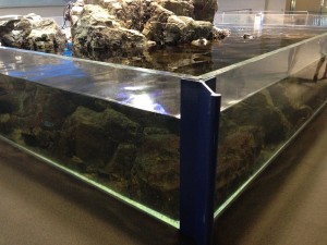 『 岸原建築日記 』・・・海岸線のコンクリート事情