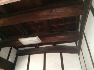 IMG_1831
