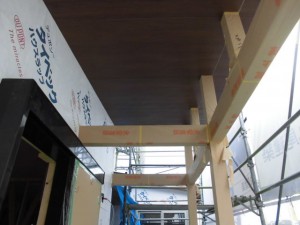 CIMG4952