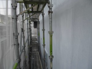 CIMG5800