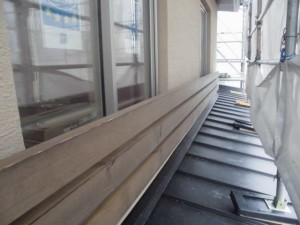 CIMG6205