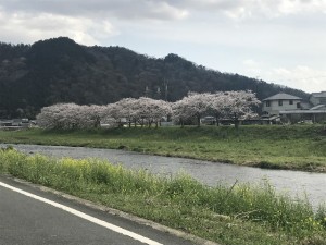 IMG_6201