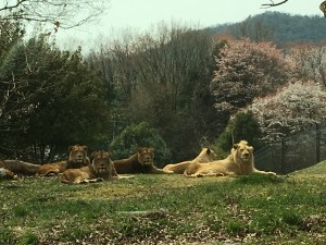 姫センへGO！