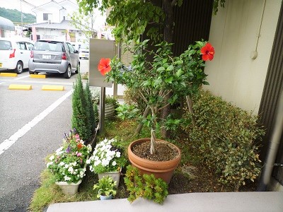 梅雨バージョンで、お迎え♪