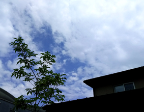 なつまつり、でした！
