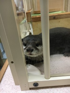 まちなかの癒しスポットへ