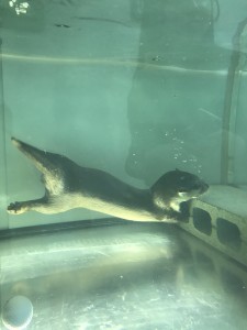 IMG_0762