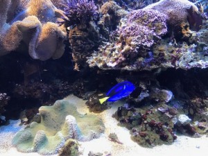 IMG_2405