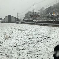 ありがとう、スタッドレス君