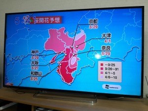 姫路城　~春が待ち遠しいね~