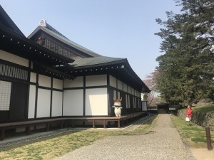 IMG_2304