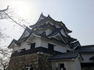 IMG_2310