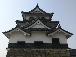 IMG_2311