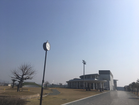 プールで運動！