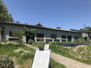 IMG_6692