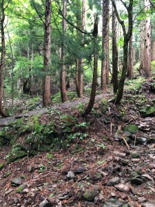 登山▲