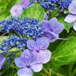 上棟おめでとうございます！　　　～太子町東南にて～