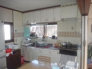R0039236