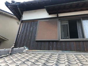 IMG_0010 (1)