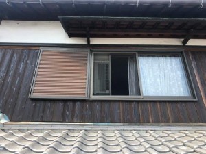 IMG_0012 (1)