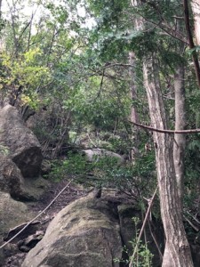 登山