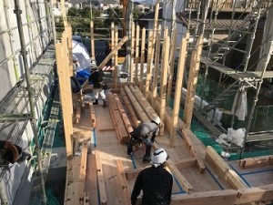 IMG_4531