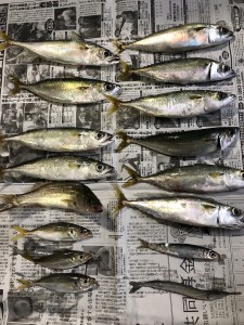 秋は気持ちいい季節
