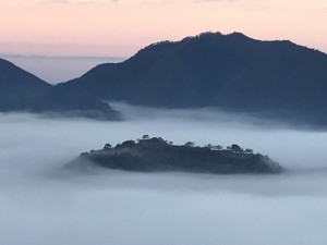 IMG_5907