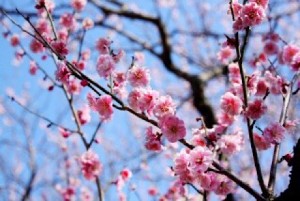 初ブログです。
