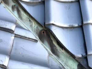 IMG_1768
