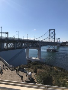 淡路　灘黒岩水仙郷