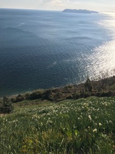 IMG_6239