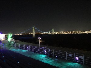 IMG_6253