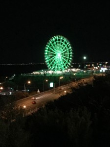 IMG_6254