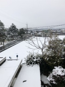 雪降りでした