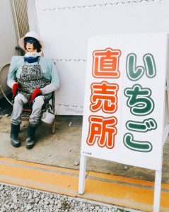 イチゴ(^.^)イチゴ(^o^)/