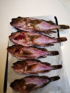 久々の料理です。