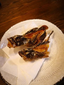 ガシラその3