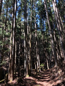 登山