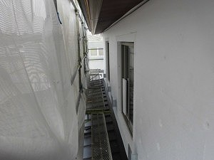 CIMG5289-300x225