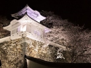 IMG_20190413_202511