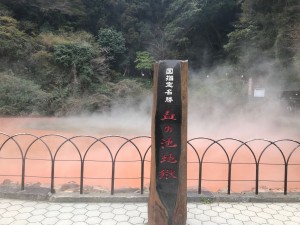 IMG_6956