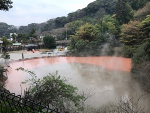 IMG_6971