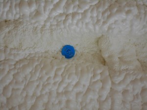 ブログ用 (6)