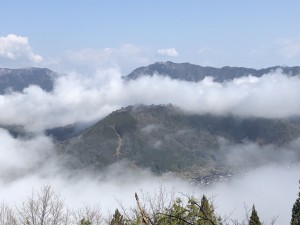 IMG_8325