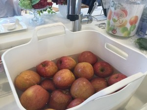 ミネラル発酵ドリンク教室を開催しました！